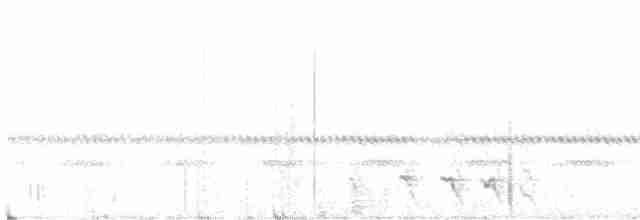Chevêchette des saguaros - ML588840751