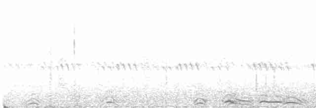 Сова плямиста (підвид lucida) - ML588843091