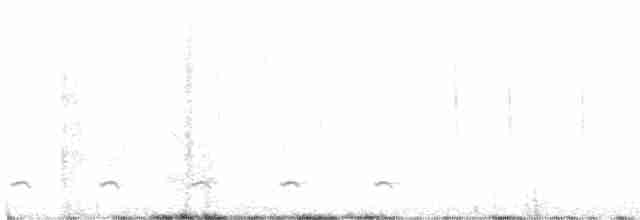 Chevêchette brune - ML588845921