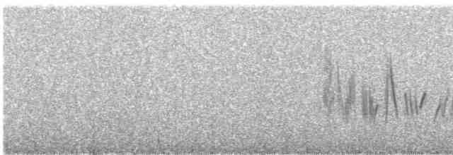Eastern Black-eared Wheatear - ML588889991