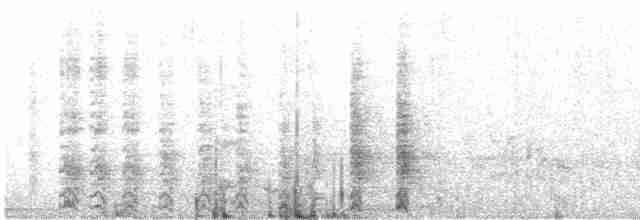 אנפית גמדית (אירואסייתית) - ML588911401