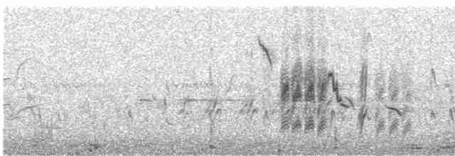 穗䳭(oenanthe/libanotica) - ML588912881