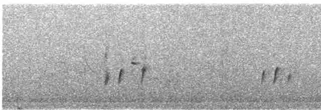 Stieglitz [carduelis-Gruppe] - ML588918291