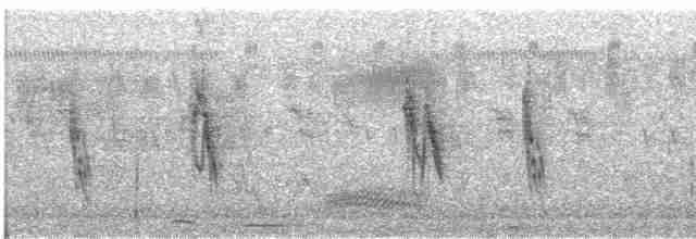 Gorrión del Mar Muerto (moabiticus) - ML588919721