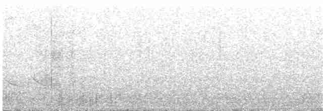 Черногорлая хвойница - ML58892011