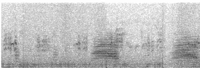 裏海燕鷗 - ML588921241