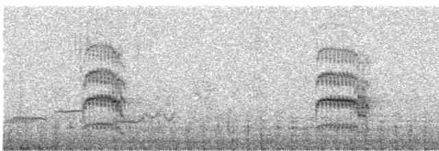 Common Tern - ML588921251