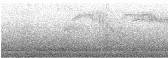 ススイロアマツバメ - ML588921891