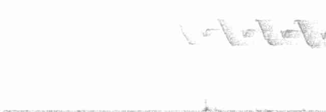 lesňáček černobílý - ML588956311
