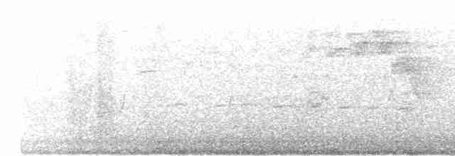 Common Yellowthroat - ML589100111