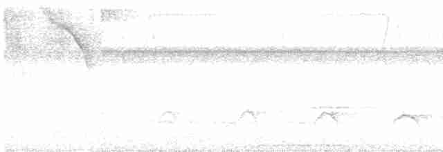 Серощёкая ленивка - ML589106461