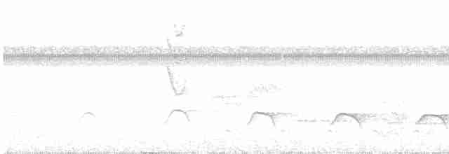 Серощёкая ленивка - ML589107101