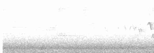 svartbrystparula - ML589115121