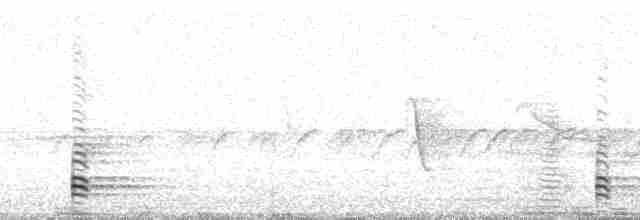 Острохвостый ибис - ML58912