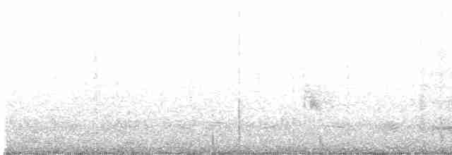 Porsuk Serçesi (leucophrys) - ML589155671