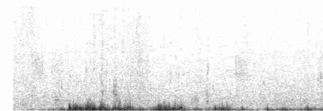 Бонапартова чайка - ML589213561