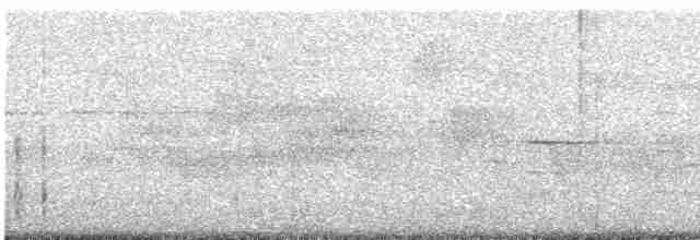Красногрудый дятел-сокоед - ML589222961