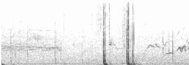Пересмішник сірий - ML589251831