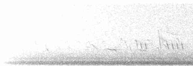White-cheeked Honeyeater - ML589276381