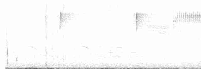 lesňáček modrokřídlý - ML589310861