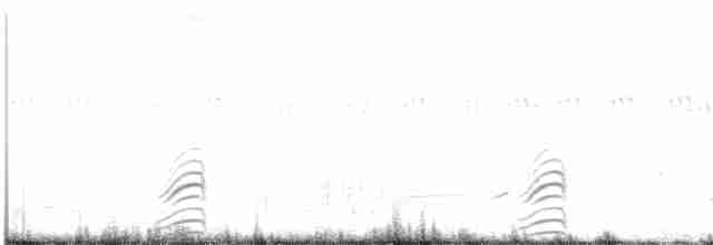 hvithalesvømmesnipe - ML589311761