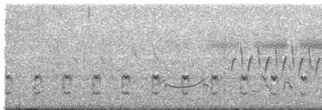 Büyük Çil Yelvesi - ML589316901