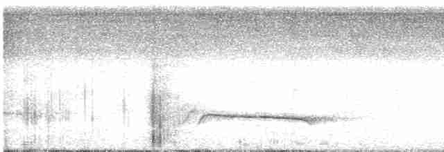 Каштановогрудый сорокопутовый виреон - ML589322721