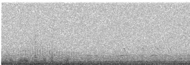 Пухівка горбатодзьоба - ML589323281