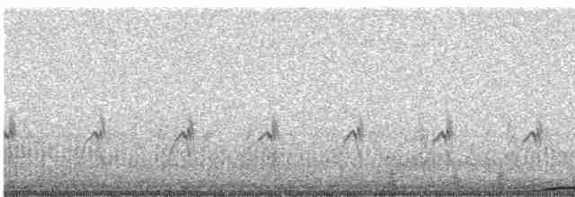 Пухівка горбатодзьоба - ML589323301