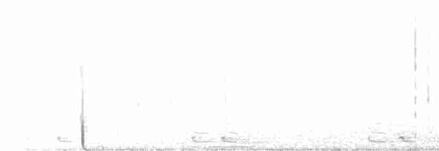 Black-billed Cuckoo - ML589357311