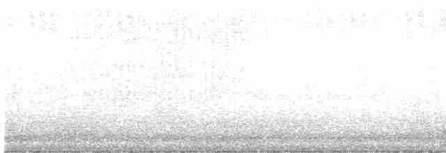 Common Gallinule - ML589376941