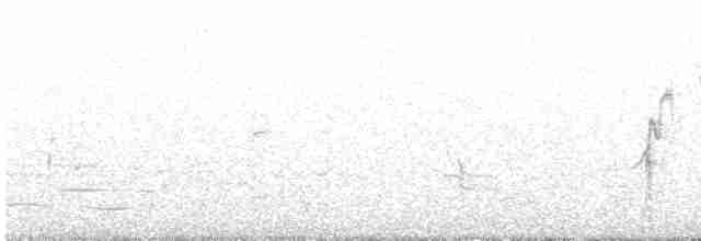 Common Yellowthroat - ML589377121