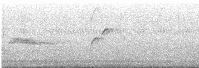 Batı Amerika Sinekkapanı (occidentalis/hellmayri) - ML589398971
