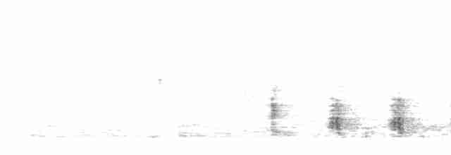 Oriental Reed Warbler - ML589415611