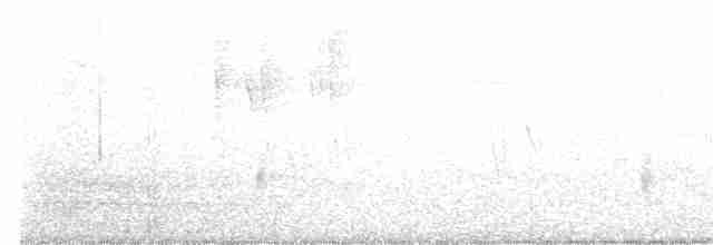 Black-throated Gray Warbler - ML589513821