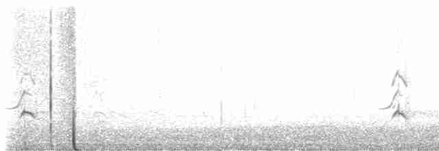 Urubi arrunta - ML589522711