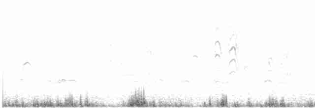 Trauerseeschwalbe - ML589533701