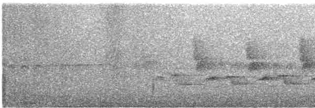 Каролинский крапивник - ML589533861