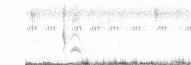 Серогрудый тиранн - ML589580181