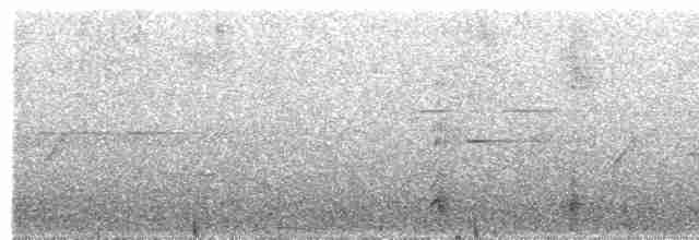 Toucanet à gorge blanche - ML589629881