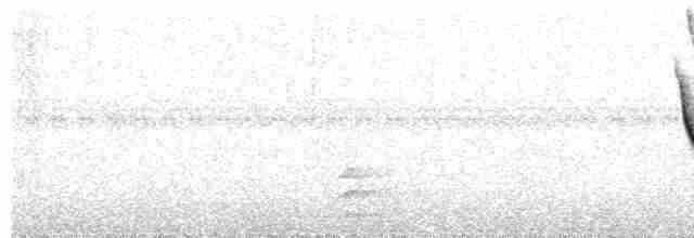 Белокрылый крапивник - ML589634881