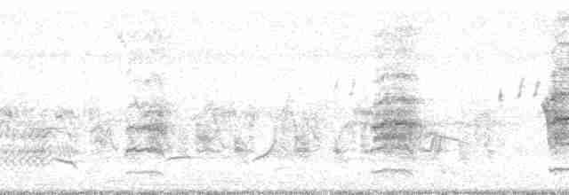 Белохвостая агуйя - ML58969