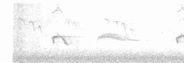 Evening Grosbeak (type 2) - ML589696971