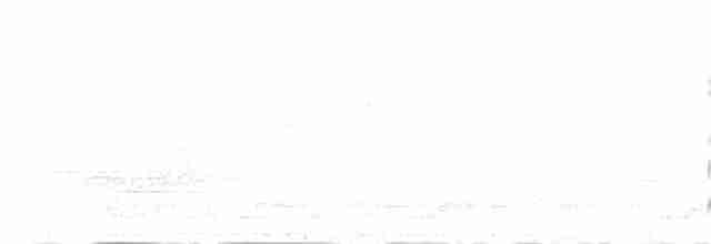 Сероспинный питуи - ML58969731