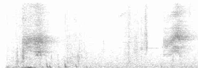 Пестрогрудый лесовик - ML589756731