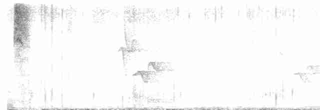 Сероголовый виреон - ML589762081