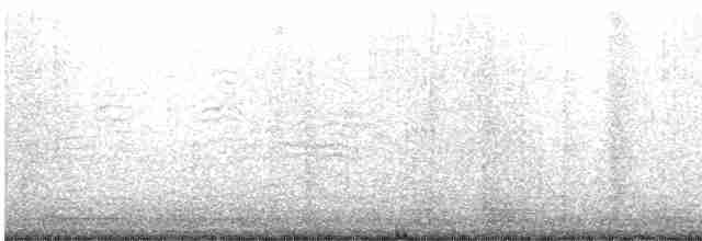 Great Shearwater - ML589765241