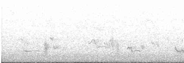 Gray Catbird - ML589769011