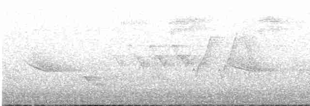 Дрізд-короткодзьоб бурий - ML589769061