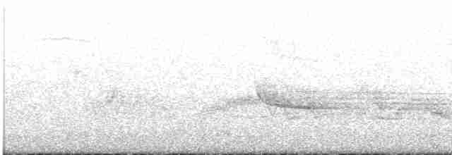 גיבתונית רוננת - ML589769201